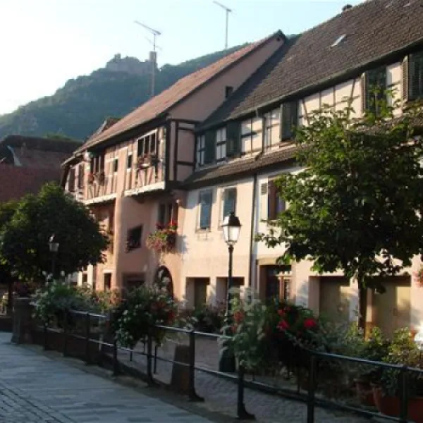 pierre-de-coubertin-ribeauville-haut-rhin-y9qxr