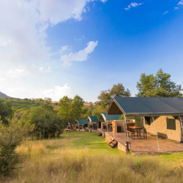 bushwillow-tented-camp-kromdraai-road-muldersdrift-5nvbb