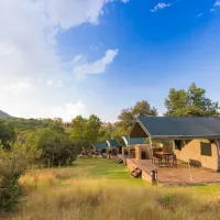 Bushwillow Tented Camp