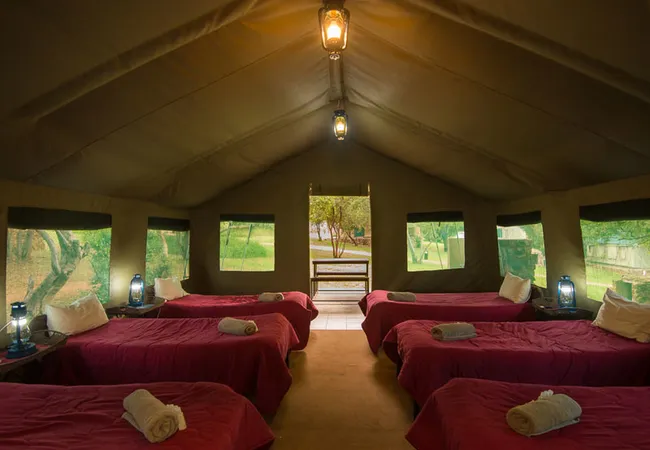 bushwillow-tented-camp-kromdraai-road-muldersdrift-cpdqv