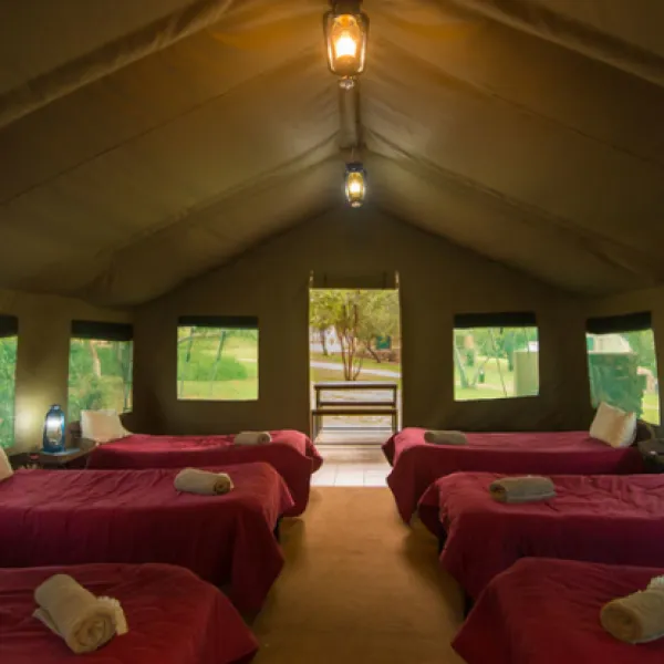 bushwillow-tented-camp-kromdraai-road-muldersdrift-cpdqv