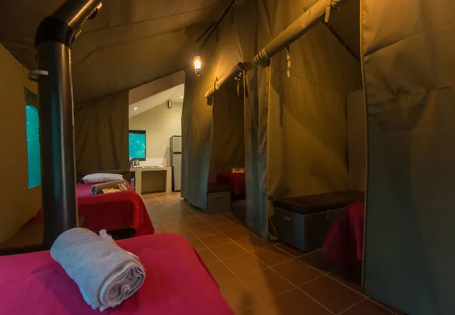 bushwillow-tented-camp-kromdraai-road-muldersdrift-rg6wi