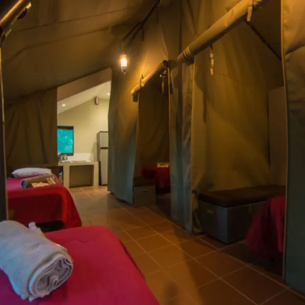 bushwillow-tented-camp-kromdraai-road-muldersdrift-rg6wi