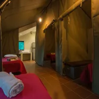 bushwillow-tented-camp-kromdraai-road-muldersdrift-rg6wi