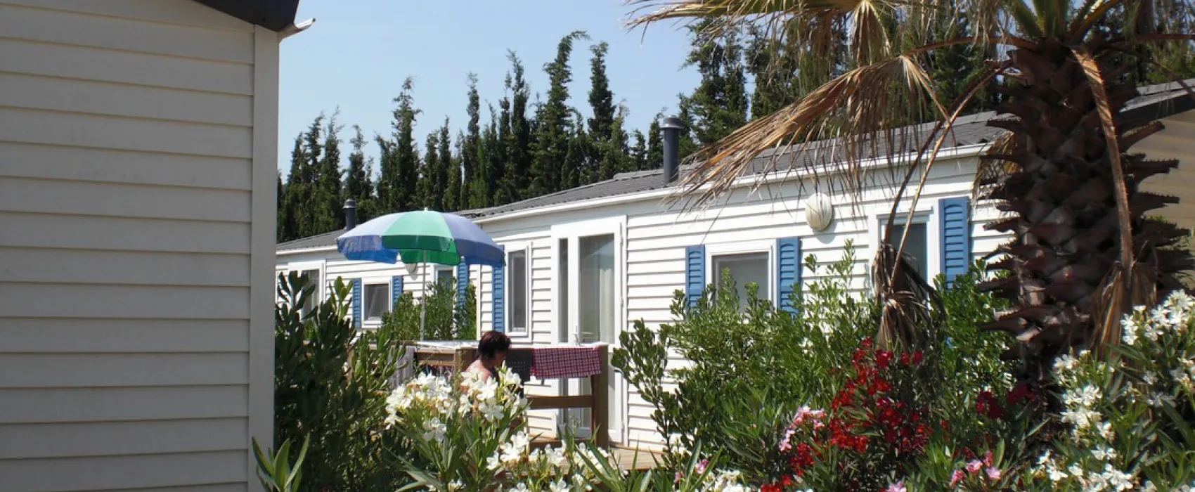 Tucan (Glamping)