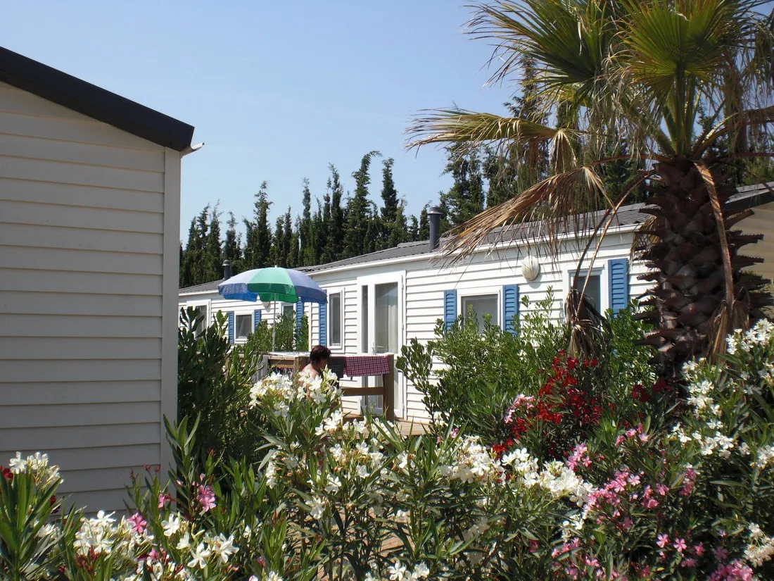 tucan-glamping-lloret-de-mar-0ljtg