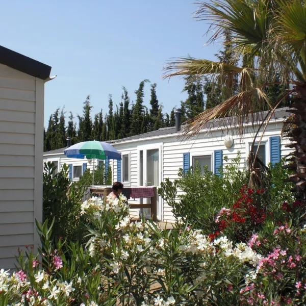 Tucan (Glamping)