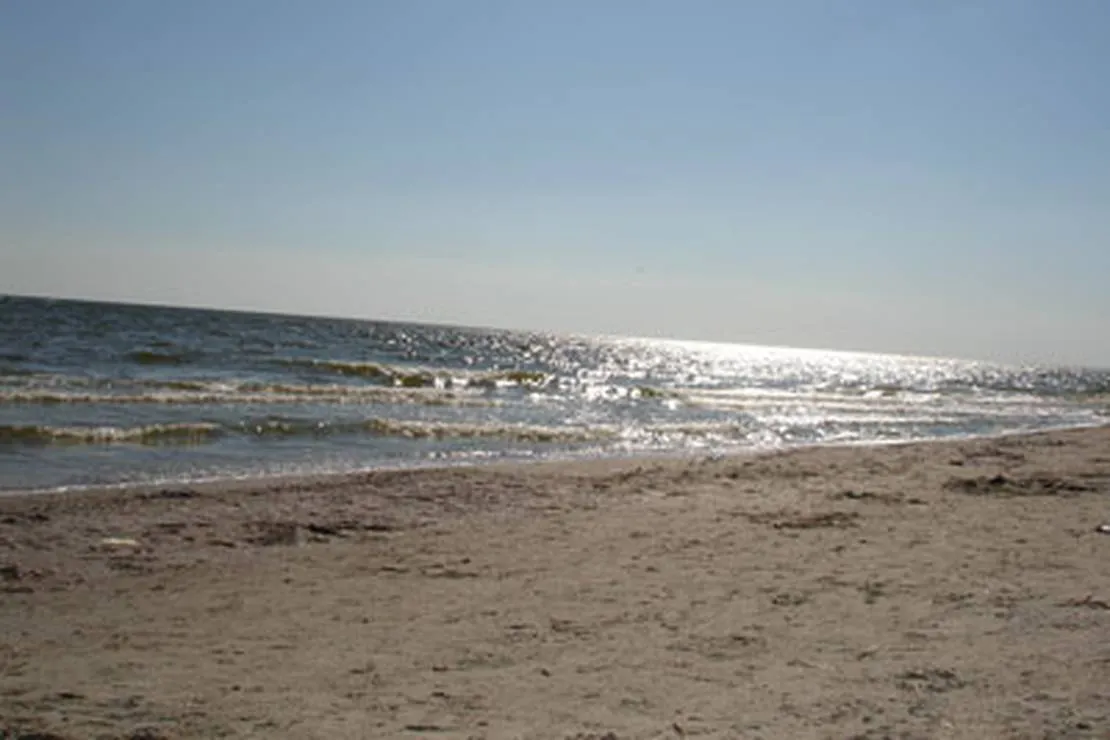 solovinaya-rosha-ukraine-campingcom-selo-rybakovka-g6j4g