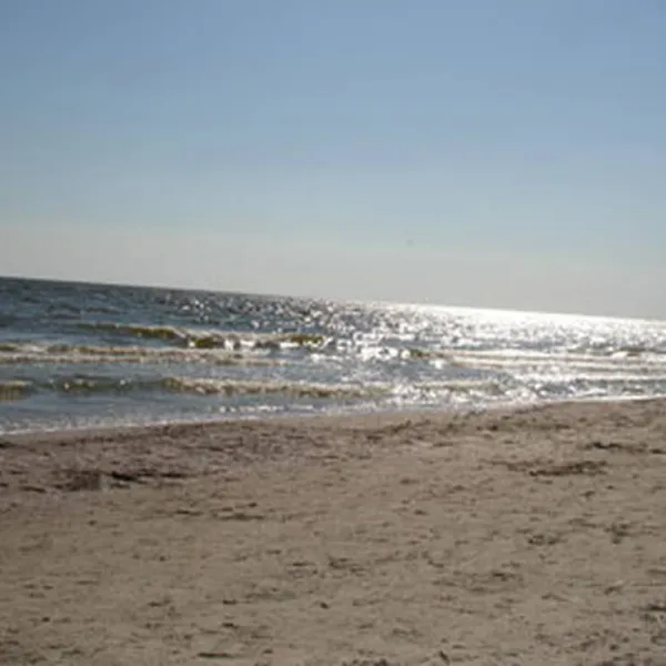 solovinaya-rosha-ukraine-campingcom-selo-rybakovka-g6j4g