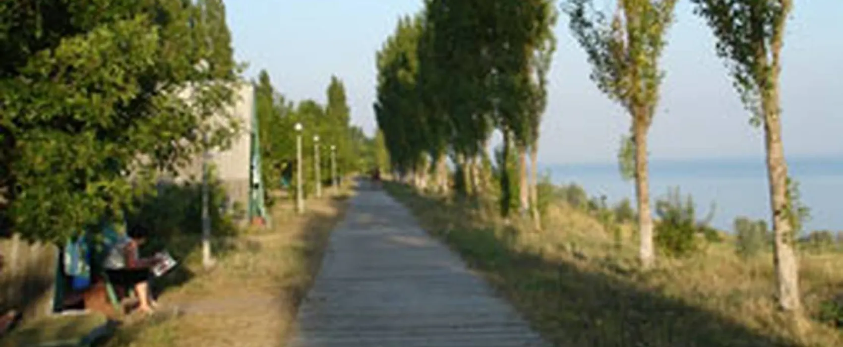 Solovinaya Rosha Ukraine-Camping.com