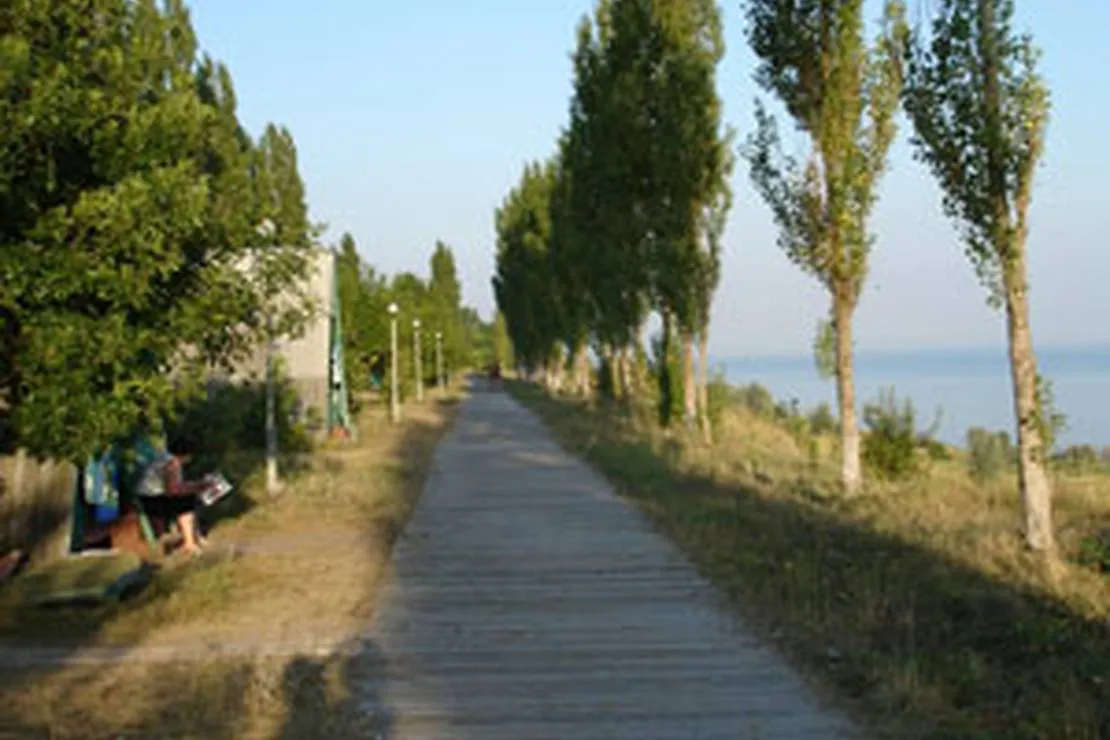 solovinaya-rosha-ukraine-campingcom-selo-rybakovka-hoefw
