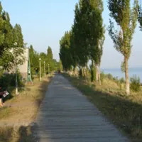 solovinaya-rosha-ukraine-campingcom-selo-rybakovka-hoefw