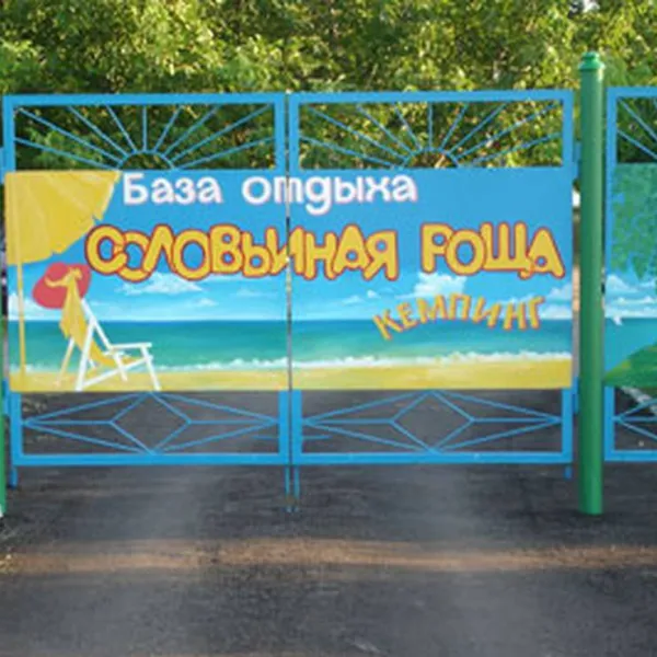 solovinaya-rosha-ukraine-campingcom-selo-rybakovka-tyz90