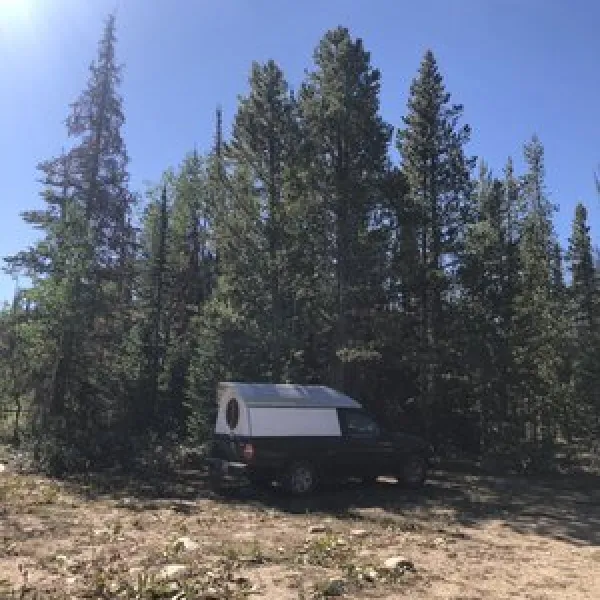 Bow River Campground