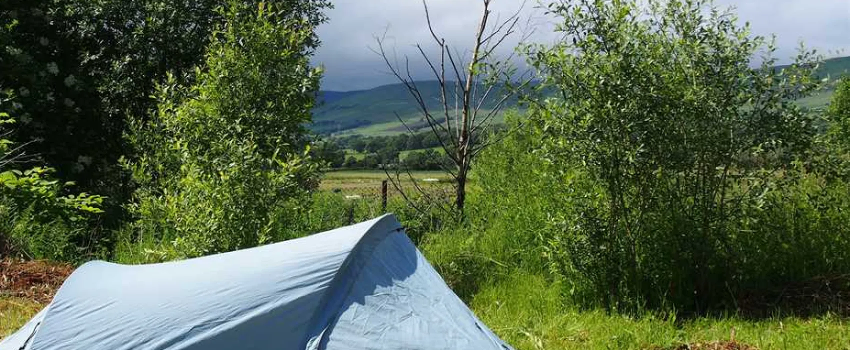 Spotty Dog Campsite