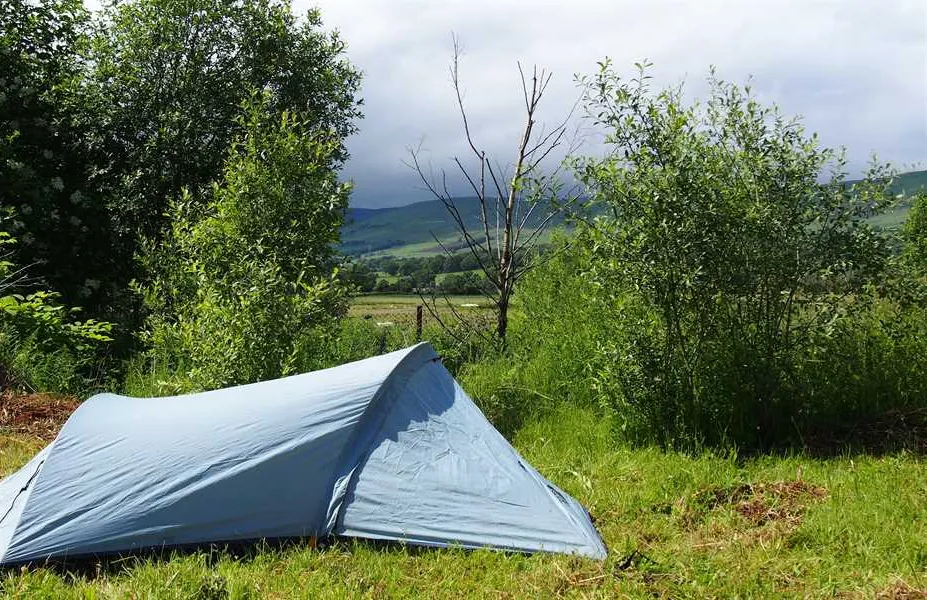 spotty-dog-campsite-twechar-rfbvx