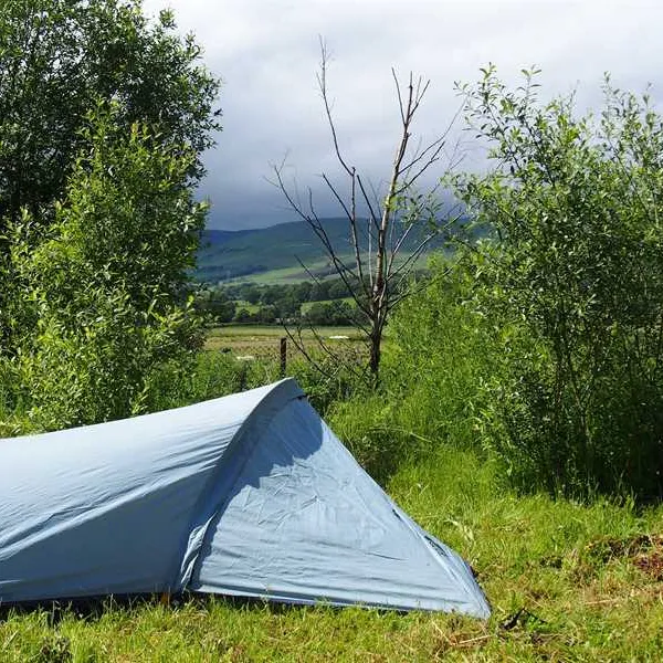 spotty-dog-campsite-twechar-rfbvx