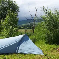 spotty-dog-campsite-twechar-rfbvx