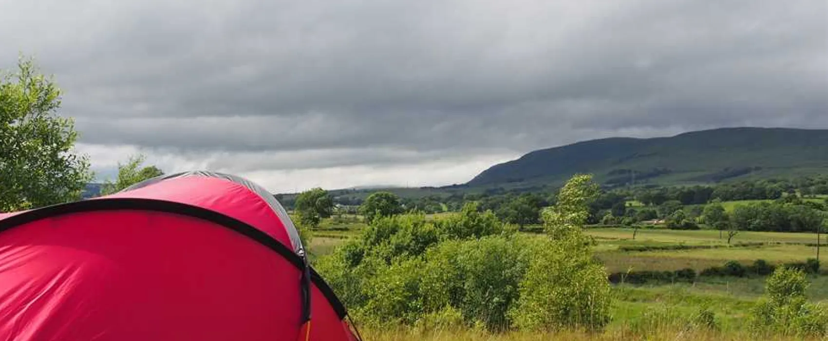 Spotty Dog Campsite