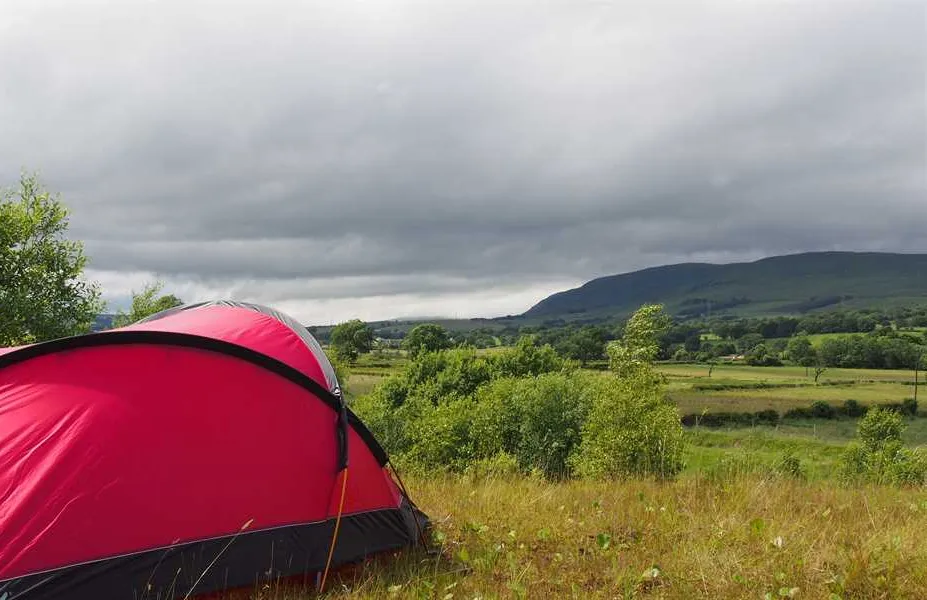spotty-dog-campsite-twechar-zsqt7