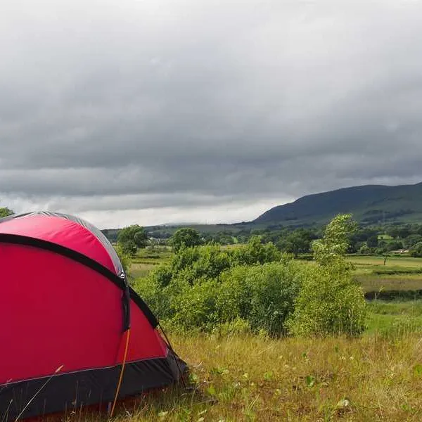spotty-dog-campsite-twechar-zsqt7