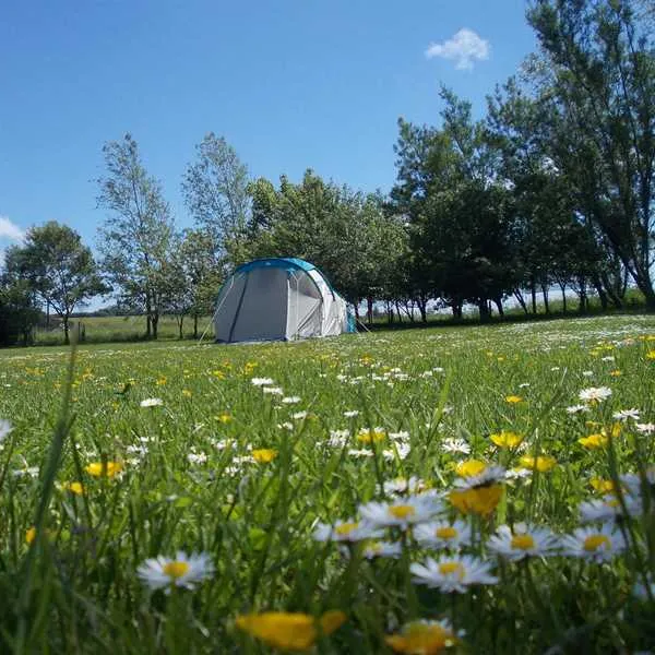 Ythan Valley Campsite