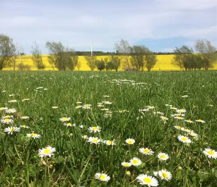 ythan-valley-campsite-ellon-n5lq4
