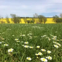 ythan-valley-campsite-ellon-n5lq4