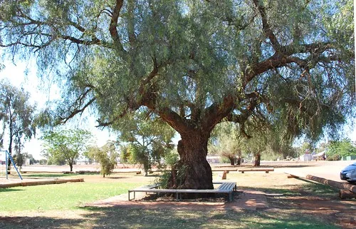 tullibigeal-park-campground-tullibigeal-dazq5