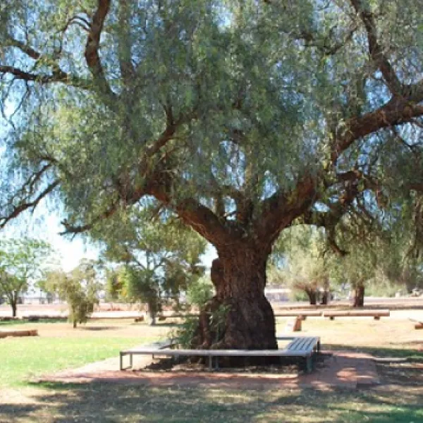 tullibigeal-park-campground-tullibigeal-dazq5