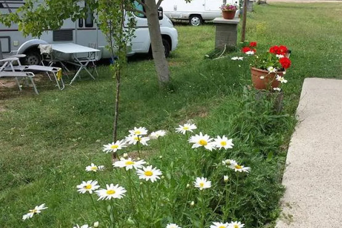 camping-valle-de-nocito-nueno-mt8oa