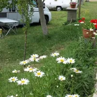 Camping Valle de Nocito