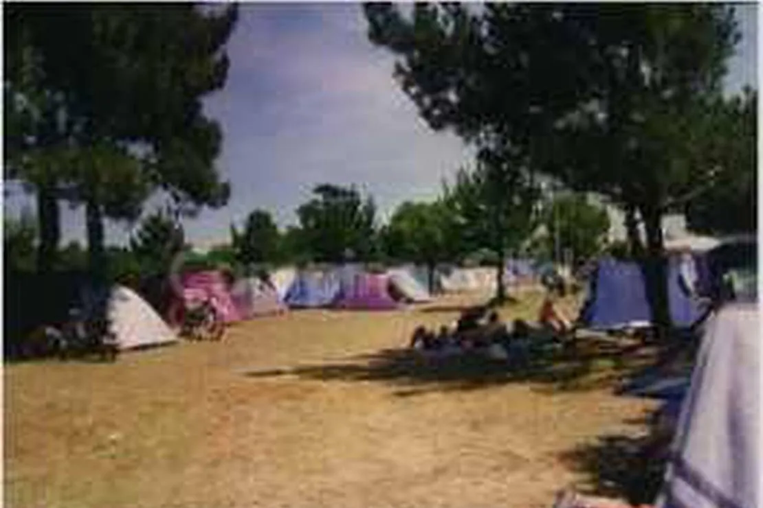 camping-fontesin-valdovino-avd0h