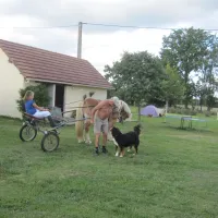 les-merelles-courcemont-9gkf2