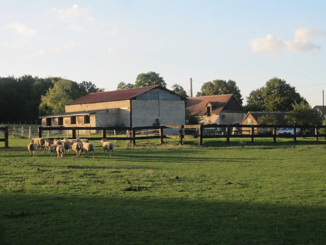 les-merelles-courcemont-jcqa7