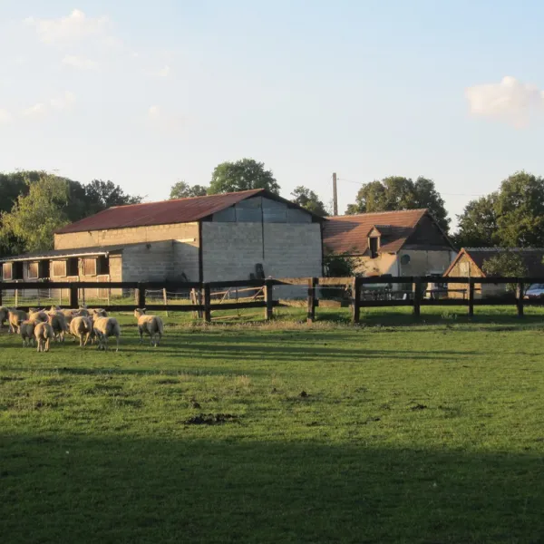 les-merelles-courcemont-jcqa7