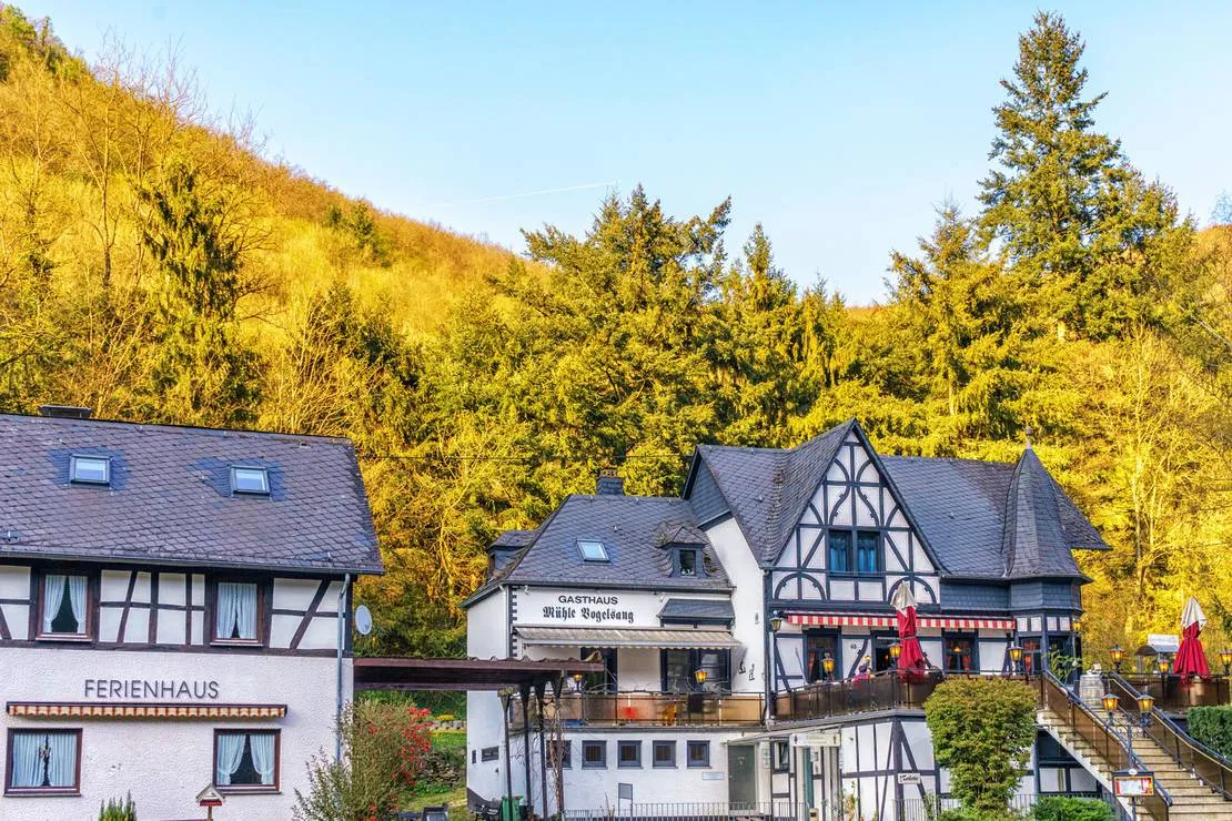 historische-muhle-vogelsang-brodenbach-090gd
