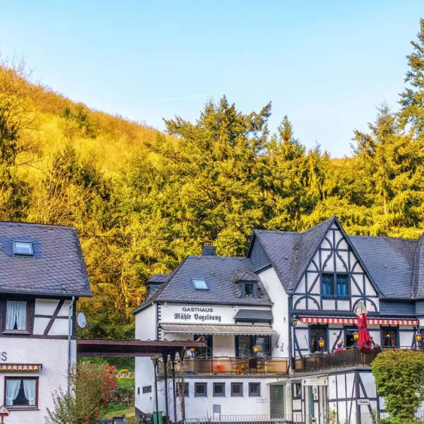 historische-muhle-vogelsang-brodenbach-090gd