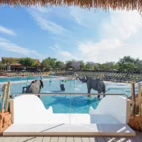 & Resort Sangulí Salou