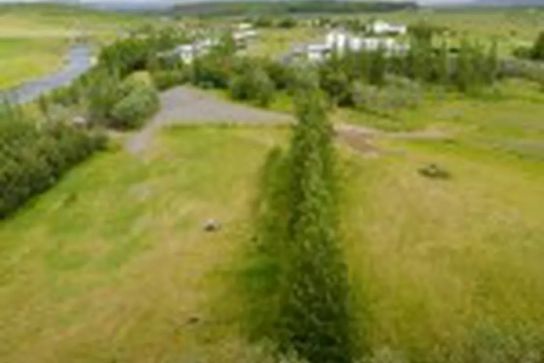 tjaldsvaedid-arnes-selfoss-8qffd