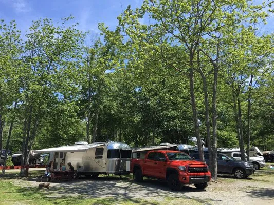 bayleys-camping-resort-scarborough-9dzey