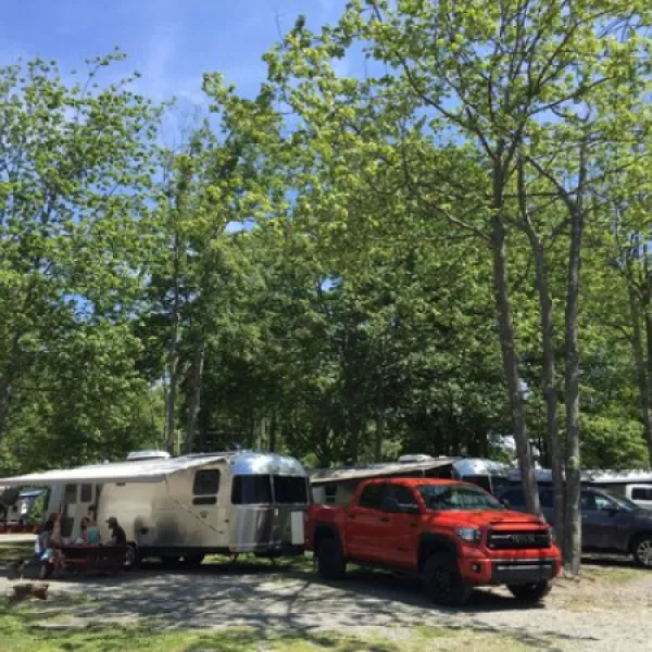 bayleys-camping-resort-scarborough-9dzey