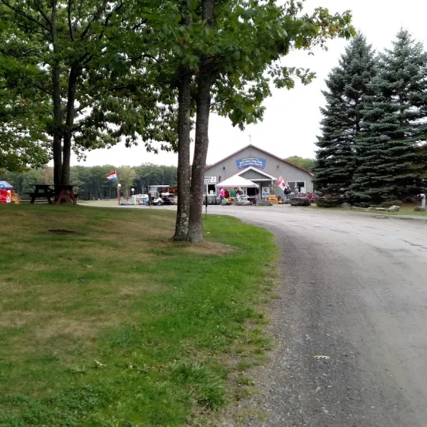 bayleys-camping-resort-scarborough-cy9ct