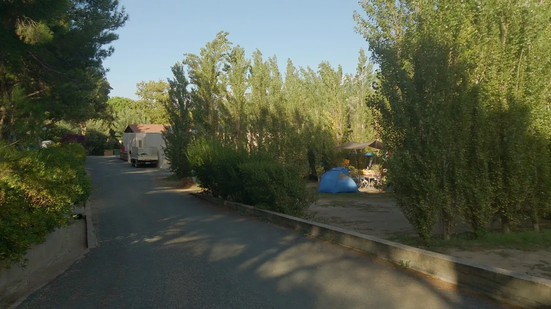 paduella-calvi-1qagg