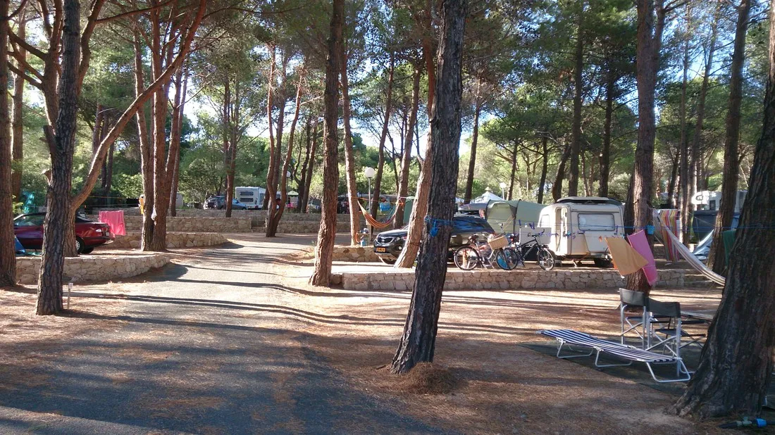 paduella-calvi-iusqs