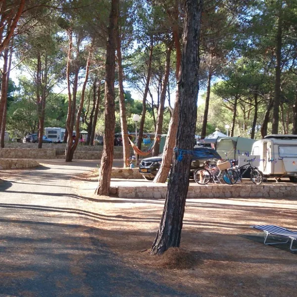 paduella-calvi-iusqs