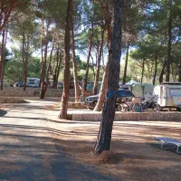 paduella-calvi-iusqs