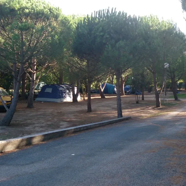 paduella-calvi-qxmi8
