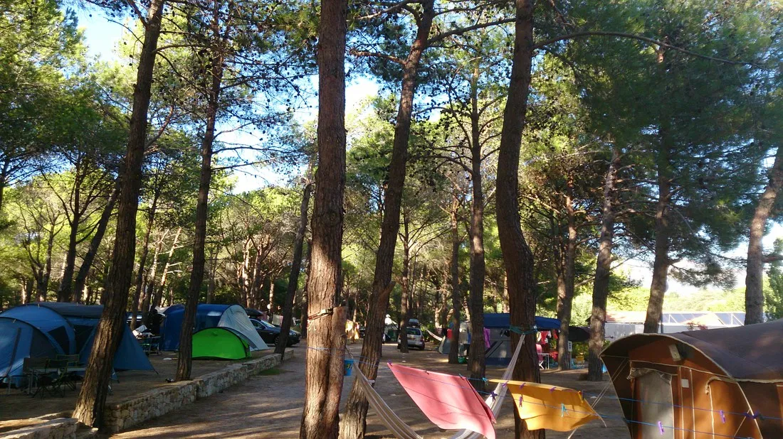 paduella-calvi-w06j0