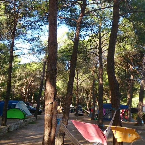 paduella-calvi-w06j0
